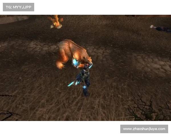 魔兽世界猎人：箭袋制造大揭秘